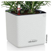 CUBE Color 14 cm - Blanco - LECHUZA